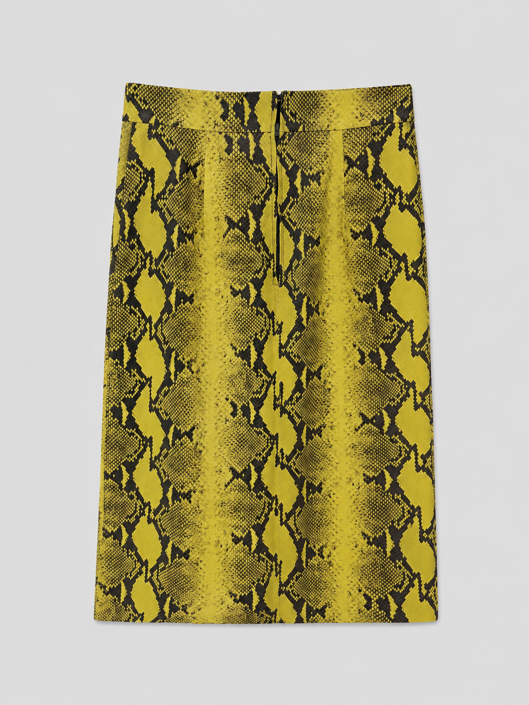 Scanlan Theodore Skirt
