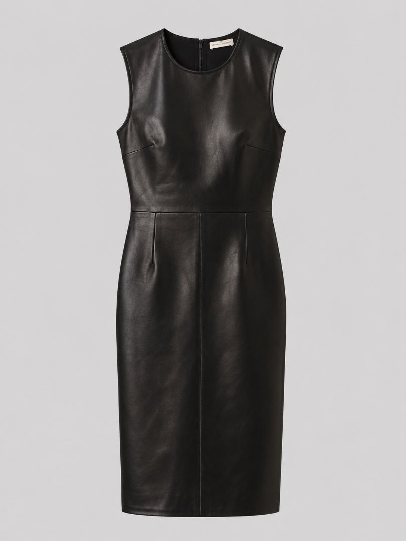 Scanlan Theodore Dress