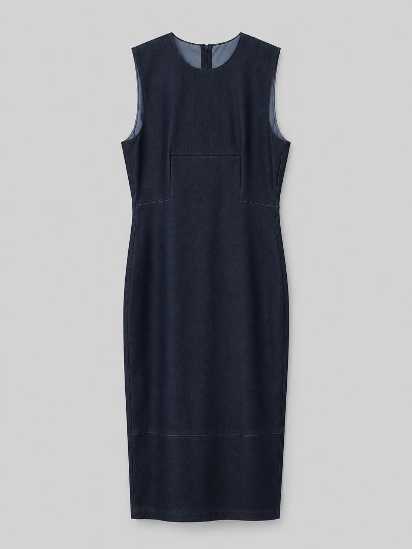 Scanlan Theodore Dress