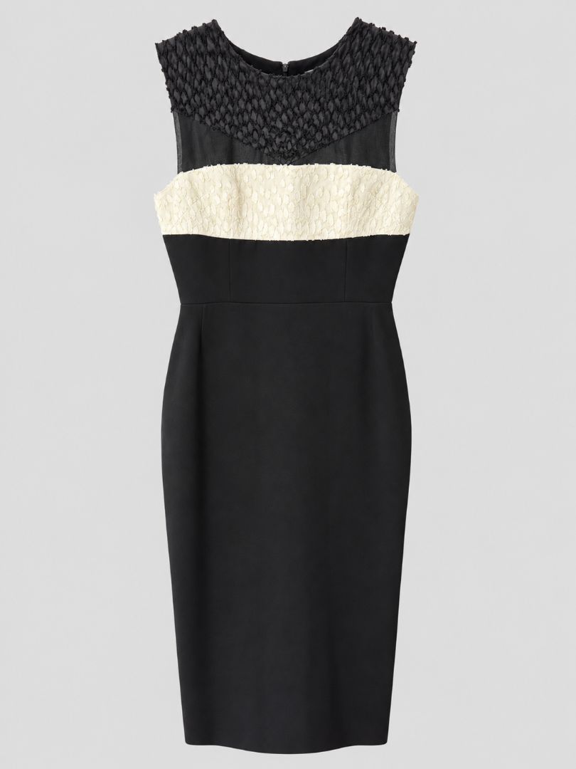 Alex Perry Dress