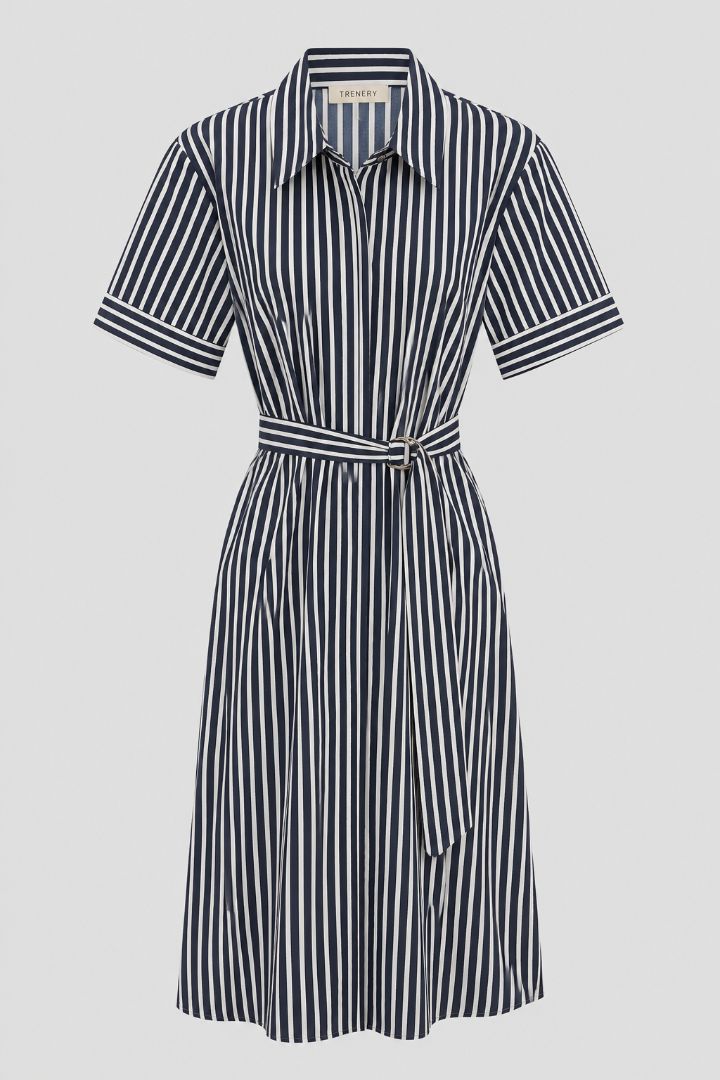 Trenery Dress